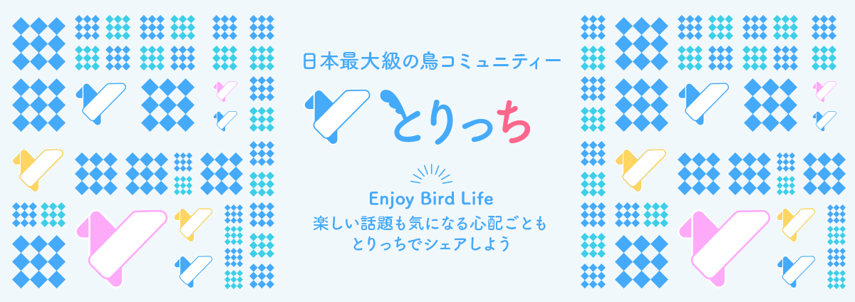 【鳥の雑談・挨拶】集合住宅での小鳥の飼育について｜とりっち - インコなど鳥の日本最大級SNS