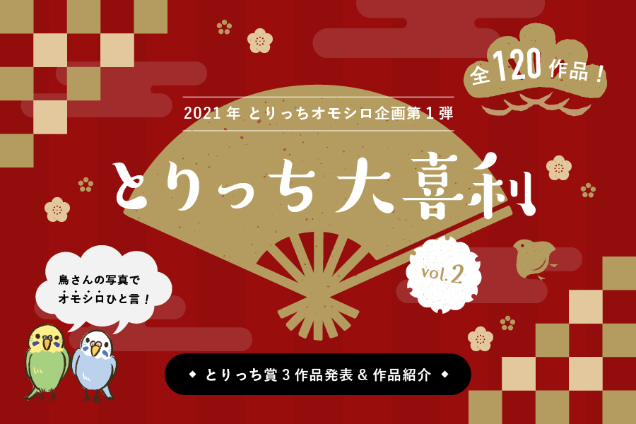 とりっち インコなど鳥の日本最大級sns