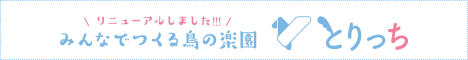 みんなで作る鳥の楽園とりっち