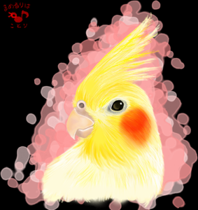 リアルに描いたオカメインコさん