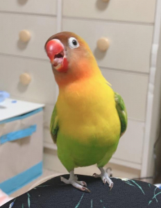 いつもはベタたんと一緒♡