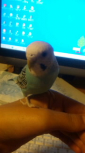 １月２０日　１０時１０分