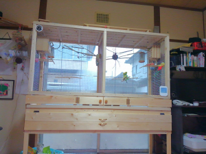 主人が手作りした鳥小屋です。