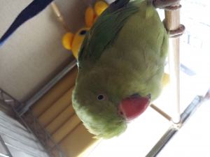 おはよう♪