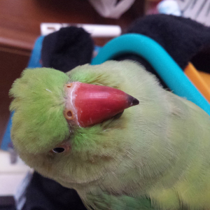 よろしくね♪