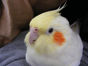 もふっと笑顔♪