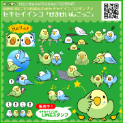 セキセイインコのLINEスタンプです。