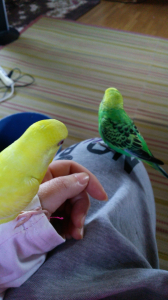 いじけました