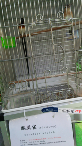 尾が長い
