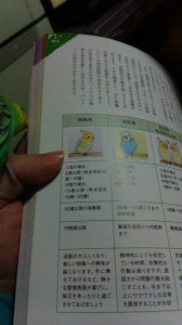 ちょっとガブガブやめてー＞＜；