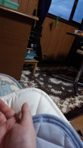 くりおが羽ばたいてます