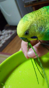 もぐもぐ