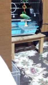 感付かれ逃げられました
