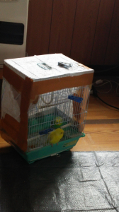 ヤバイ…見つかったよ