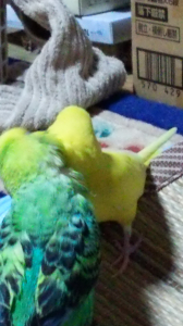 ラブラブ