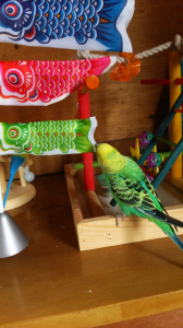 カミカミ