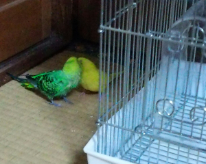 朝からイチャイチャ