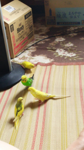 オールスター揃い
