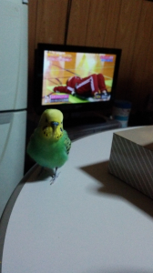 おすましくりお