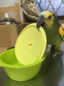アオちゃん賢くなれよ〜