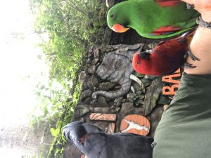 バリ動物園