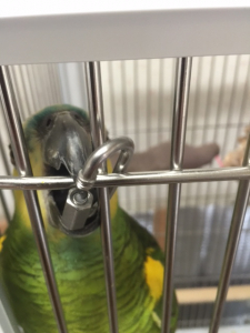 リングは大好きです。