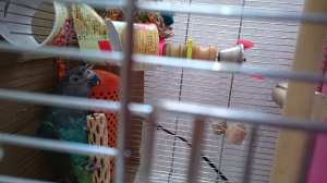 箱の為ポテチ消費頑張ってます