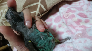 身を委ねる○