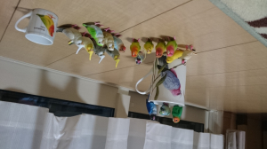 ごく一部 、、会社にもある