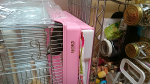 再画像 出せ出せ攻撃
