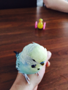 ピーさん