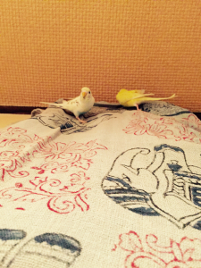 地面じゃなくて、壁です、コレ