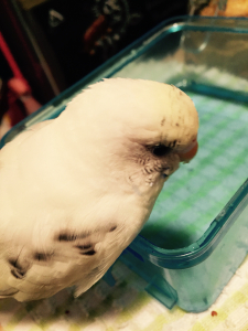 ぼーーっ