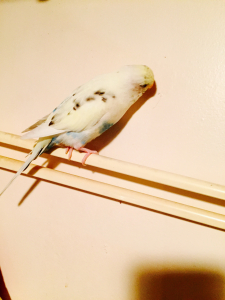 ひんやりしたとこ探し