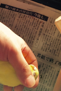 カキカキ様