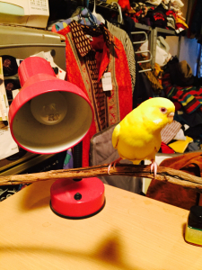 …同じポーズすね