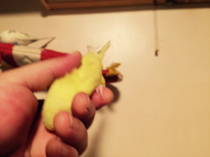 もそもそもそー