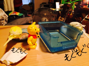 きゃつら飯