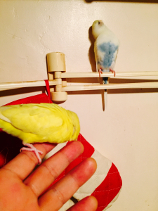 お気に入りすね、そこ
