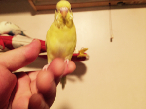 すっきりー