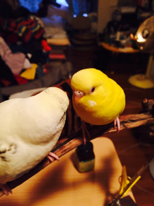 でした