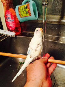 水だなぁ