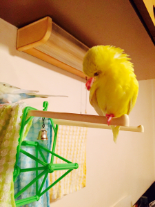 ほほう、これはこれは