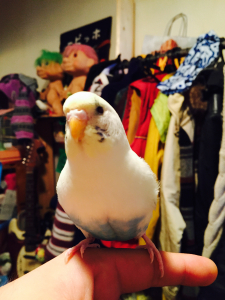 ふふふ