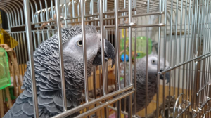 見られると恥ずかしい