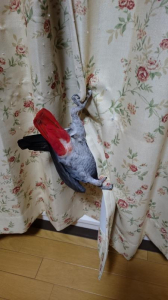 もそもそ