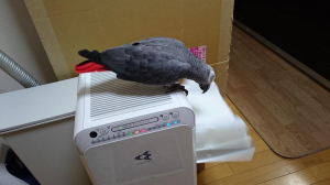 給水タンクは落とすもの