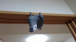 ここは休憩所