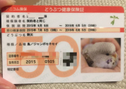 剛太の保険証