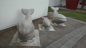 くじら３兄弟です！